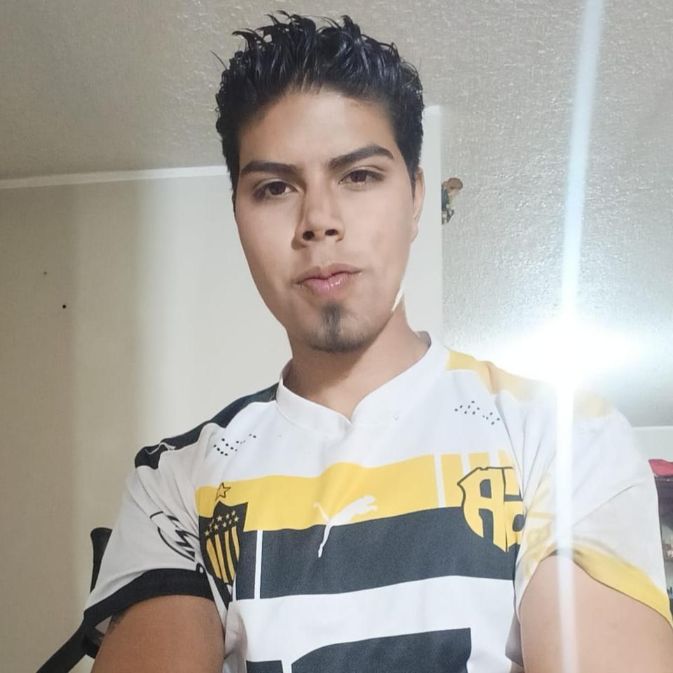 User Image