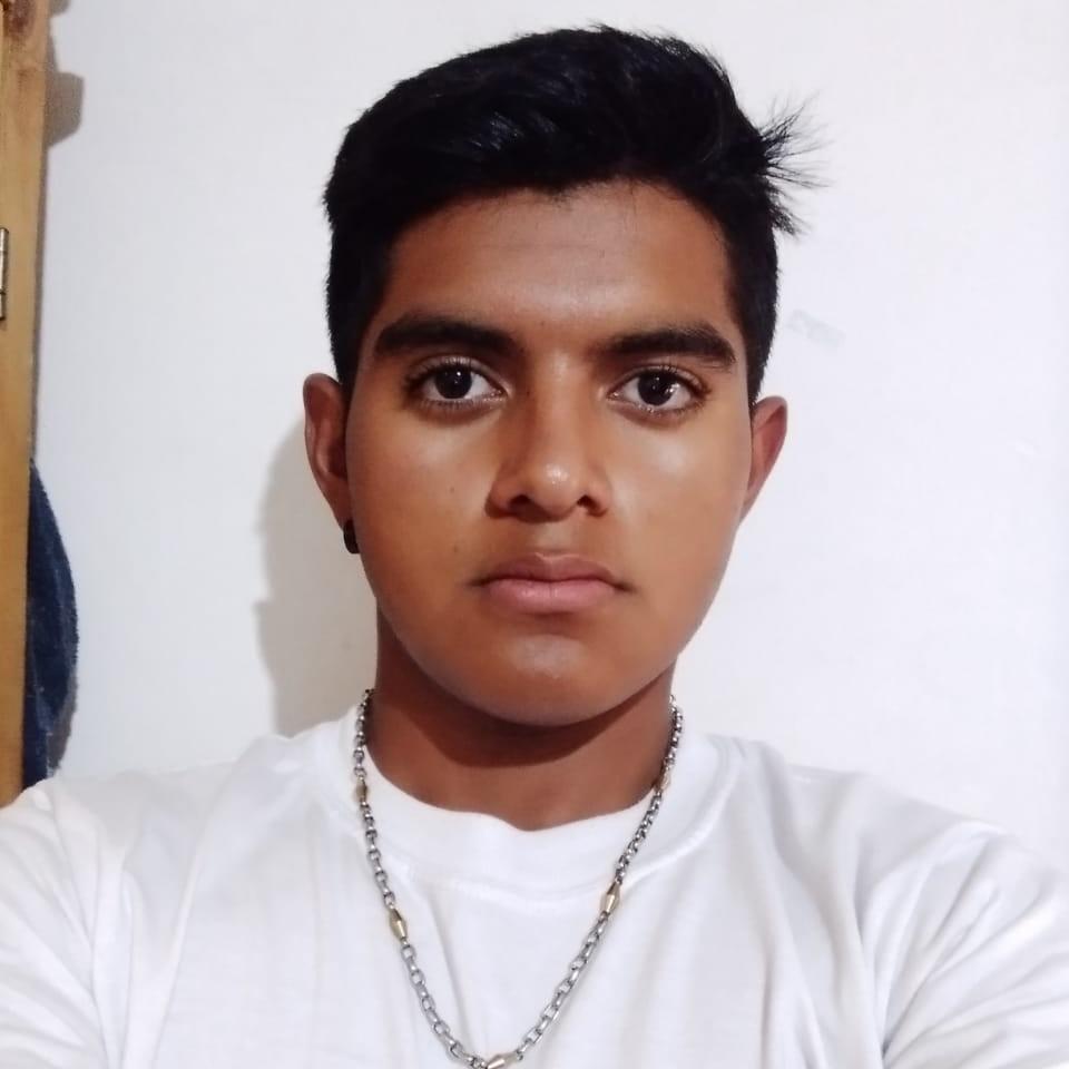 User Image