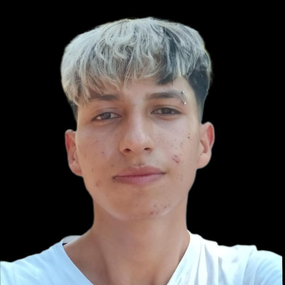 User Image
