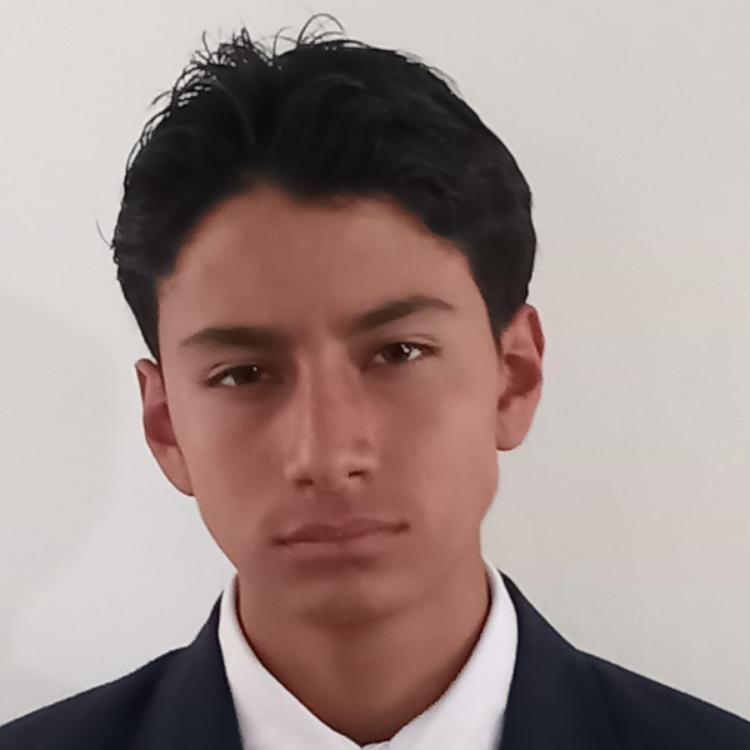 User Image