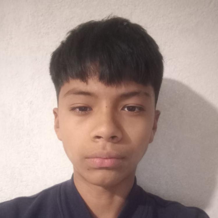 User Image