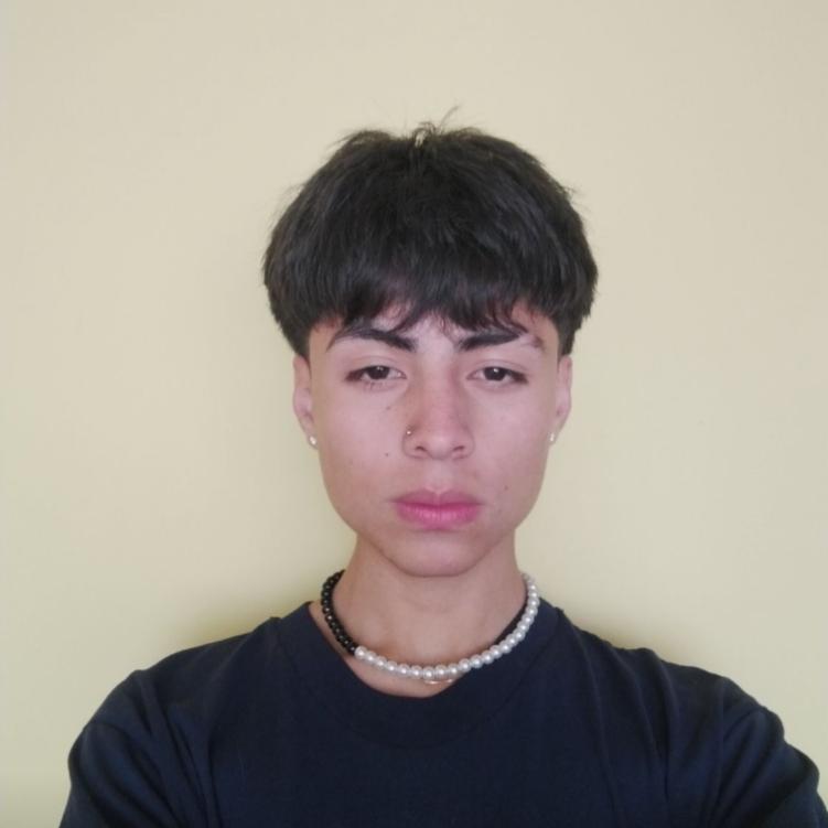 User Image